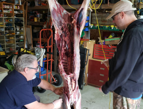 Métis Deer Skinning Workshop