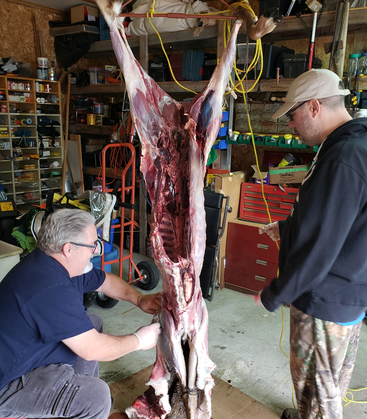Georgian Bay Deer Skinning Workshop